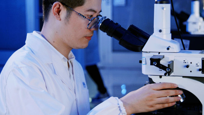 威尼斯注册送66