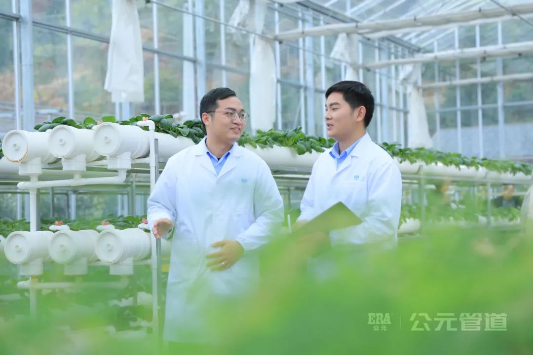 威尼斯注册送66