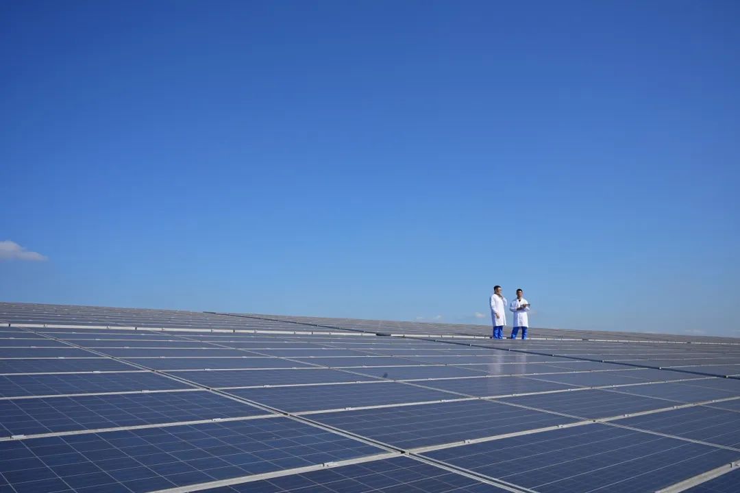 威尼斯注册送66